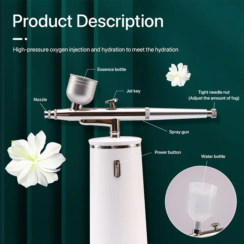 PAKISS Nano Ionic Névoa Fria A - Face Steamer avaliação e preço