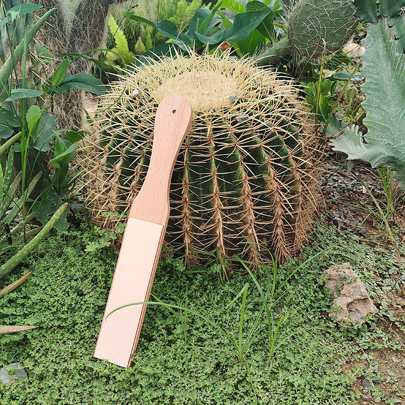 Couro natural afiar composto a - Wax Warmer avaliação e preço