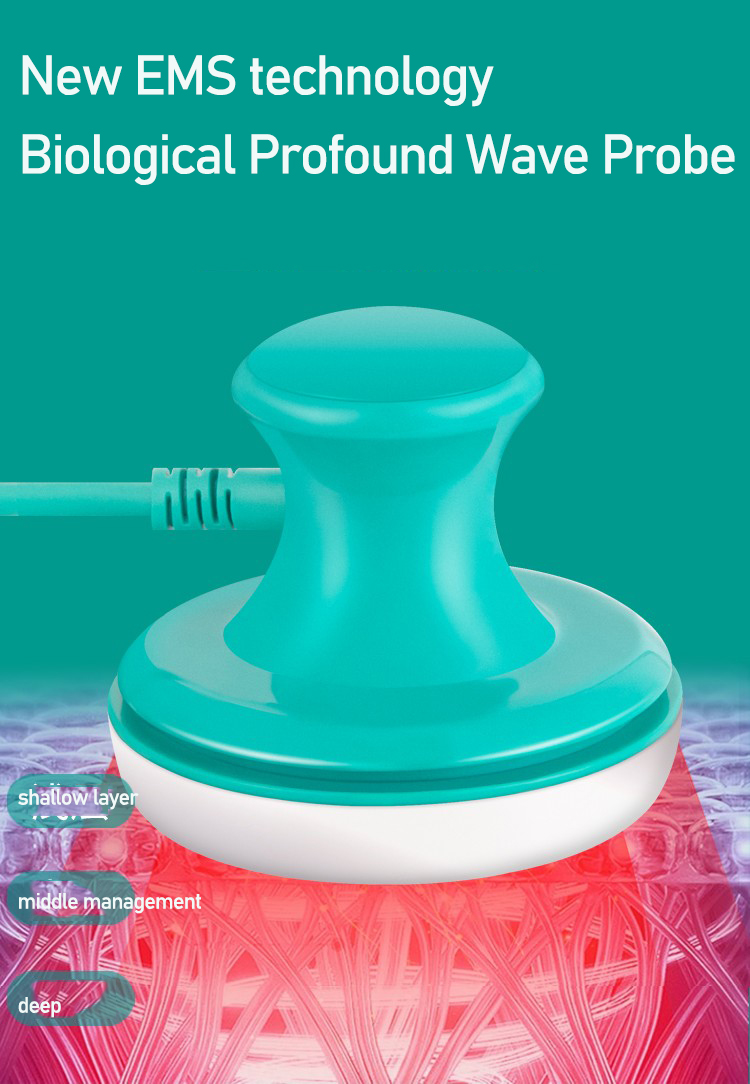 San tong mestre meridiano inst - Body Brush avaliação e preço